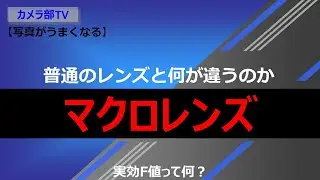 【写真がうまくなる】普通のレンズと何が違うのか「マクロレンズ」～実効F値って何？～