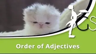 Order of Adjectives: English Adjective Lesson