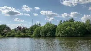 Чайка🦅