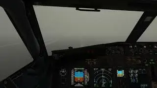 CAT III Landing Boeing PMDG 737-700 