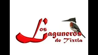 LOS LAGUNEROS DE TIXTLA 
