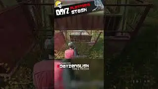 DayZ - Platform stash 🎡 