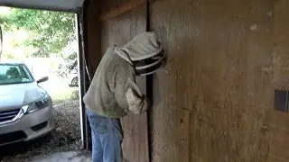 Garage kept honey bees.