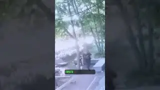 В Костроме медведь напал на двух мужиков, которые просто сидели на лавочке у дома