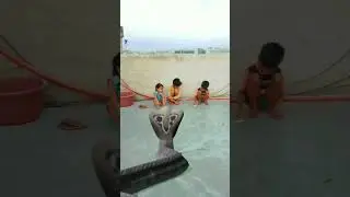 ek nag nai Kiya ek bacche per hamla 