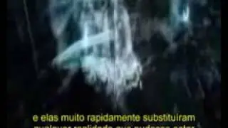 Terence McKenna - Instituições