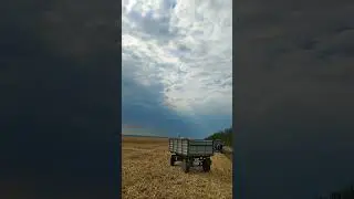 Уборка кукурузу