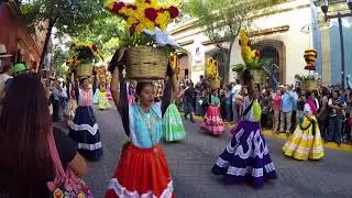 GUELAGUETZA 2018 |PRIMER DESFILE DE DELEGACIONES EN OAXACA, MÉXICO  2018|