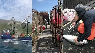 The Salmon Sisters | Alaska