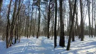 Начало дня   15 марта 2024