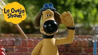La Oveja Shaun 🐑 ¡Perro salvavidas! 🐑 Dibujos animados para niños