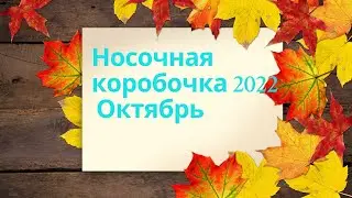СП "Носочная коробочка" носки октября спицами, пошло не по плану