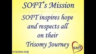 SOFT’s Mission and Values