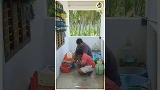 colour fish சோதனைகள்🐠🤩| Jeelani Vlogger | Tamil |