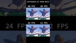 FPS (Frames Per Second)