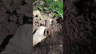 Хвостатка от миномёта, 1941 год #metaldetecting #коп