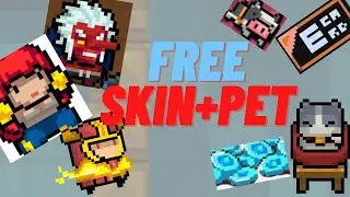 A por needs to know!Free skin and pets in soul knight