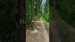 прогулка по реке шерна #рыбалка