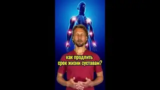Как продлить срок жизни суставам?