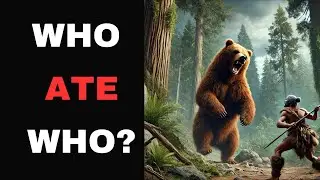 Were Humans Apex Predators For 2 Million Years?