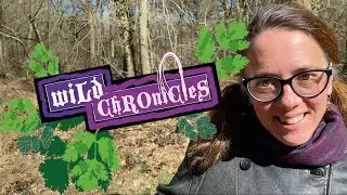 Chronicles in the Forest, part 2.