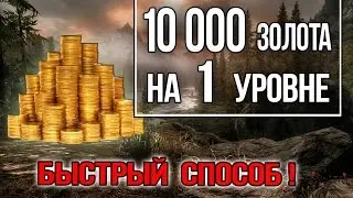 Skyrim - 10000 ЗОЛОТА в начале игры на Легендарной сложности 