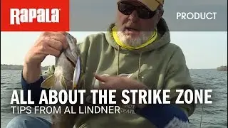 Al Lindner: Sometimes Its All About the Strike Zone