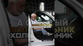 IT TURNS OUT CARS HAVE HAD A FRIDGE THIS WHOLE TIME 