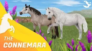 The UPDATED Connemara! ✨ | Star Stable Horses