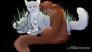 Коты воители пары
