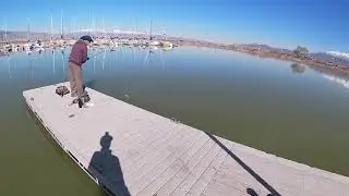 Utah Lake!  NEW PB CARP!!!  And catfishing!