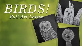 Birds - Full Art Lesson