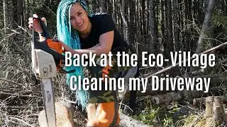 My chainsaw wasn't doing its job but I figured it out!