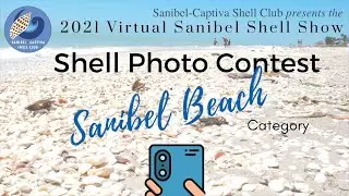 Shell Photo Contest -Sanibel Beach with Shells Category