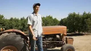 Meet Nick Boldt, Supplier of Oliver's Market's Favorite Stone Fruit