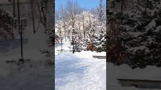 Зимний парк