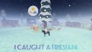 I caught a Black Friesian in Blizzard Island! [Wild Horse Islands Roblox]