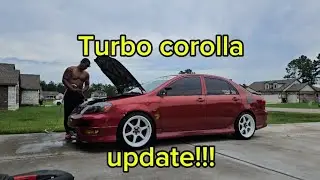 update on the corolla