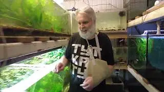Сбор клуба