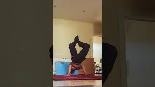 Roll to handstand to roll back #calisthenics #motivation
