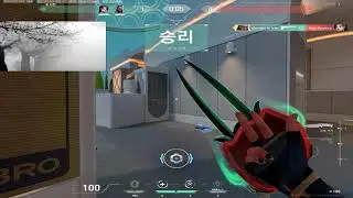 0.67 800dpi custom curve 