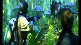 GRK komanda Cinema Perfection