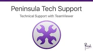 Technical Support with TeamViewer from Peninsula
