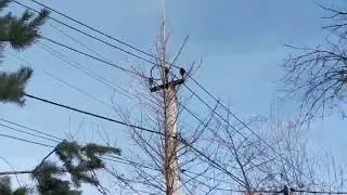 Проверка участка на обременения.