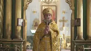 Проповедь архимандрита Зосимы (Горшунова) В неделю 11-ю по Пятидесятнице,  2024