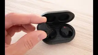 DualRad TWS - внешний вид