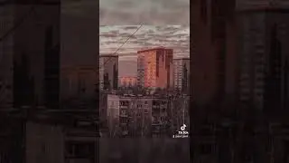 #жиза