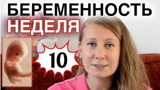 10 НЕДЕЛЬ БЕРЕМЕННОСТИ