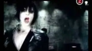 brody dalle - draint the blod the distillers