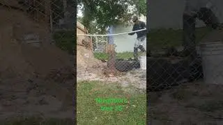 nieghbors tree #5 (stump removal) does it make a sound or doesn't make a sound?